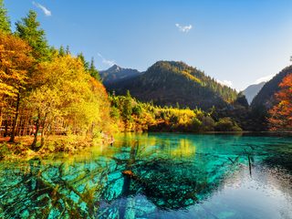 20210209183217-Jiuzhaigou National Park Five Flower Lake.jpg